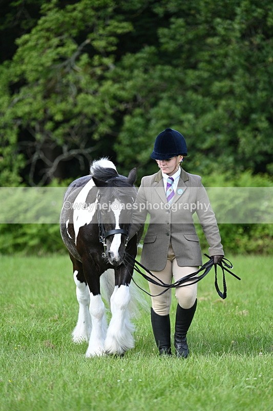 WJ7_1010 - Class 11 Condition & Turnout
