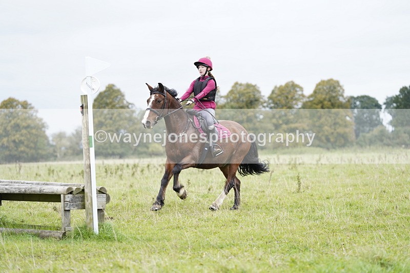 _DSC6604 - Time at Photographer 10:13 to 10:42