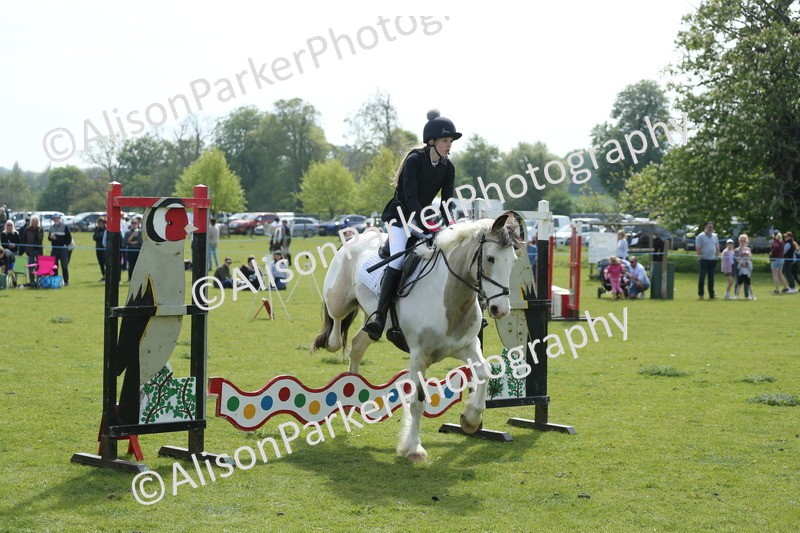 20260426-1656 - Class 14 - Novice 60cm