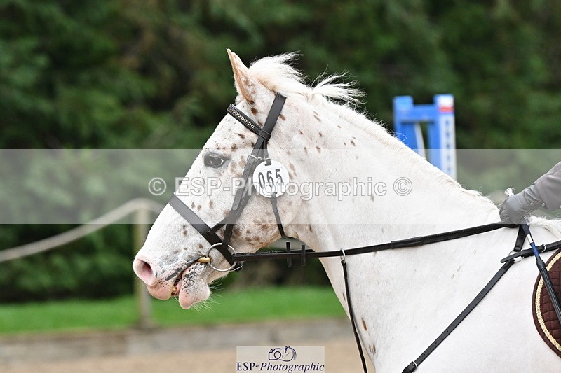 250208A-102951-00236 - Cls 2 70cm