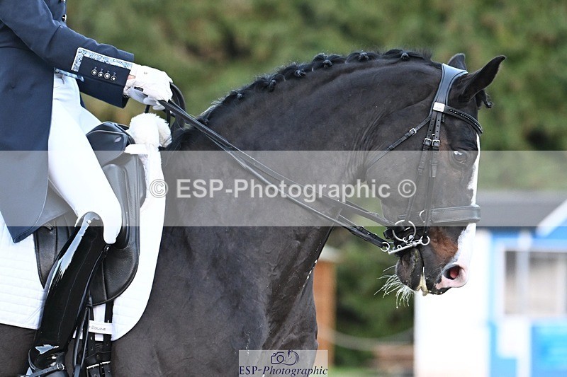 231110-160214-02424 - Cls 11 FEI PSG