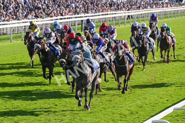 111025-Race 4-Binhareer-8815 - Race 4 Coral Sprint Trophy Handicap at York