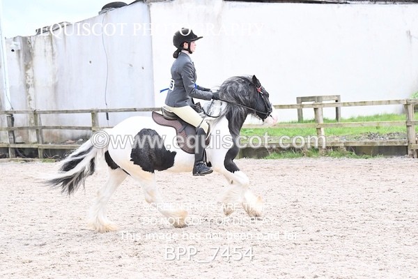 BPP_7454 - RING 1  (RIDDEN HORSES / IN HAND / VETERAN ETC)