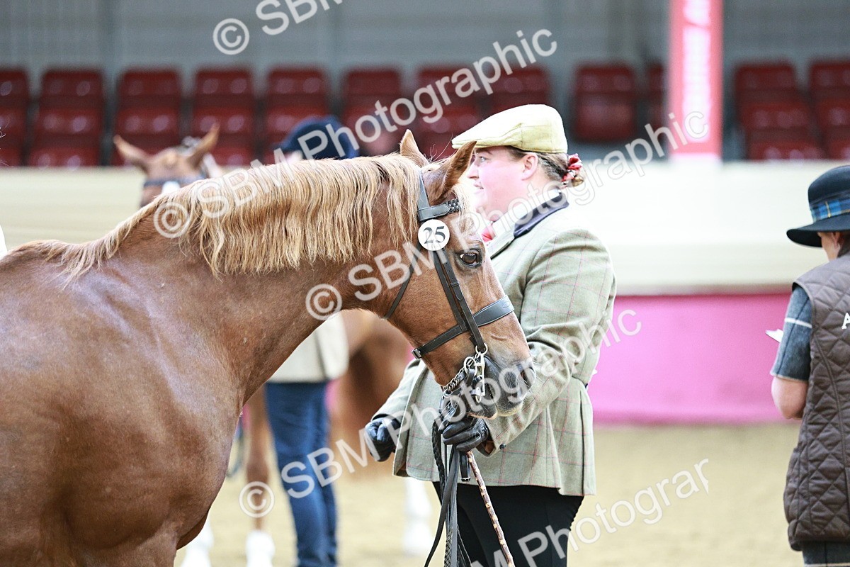 SBM_04837 - Class 7R - Regional IH Diamond