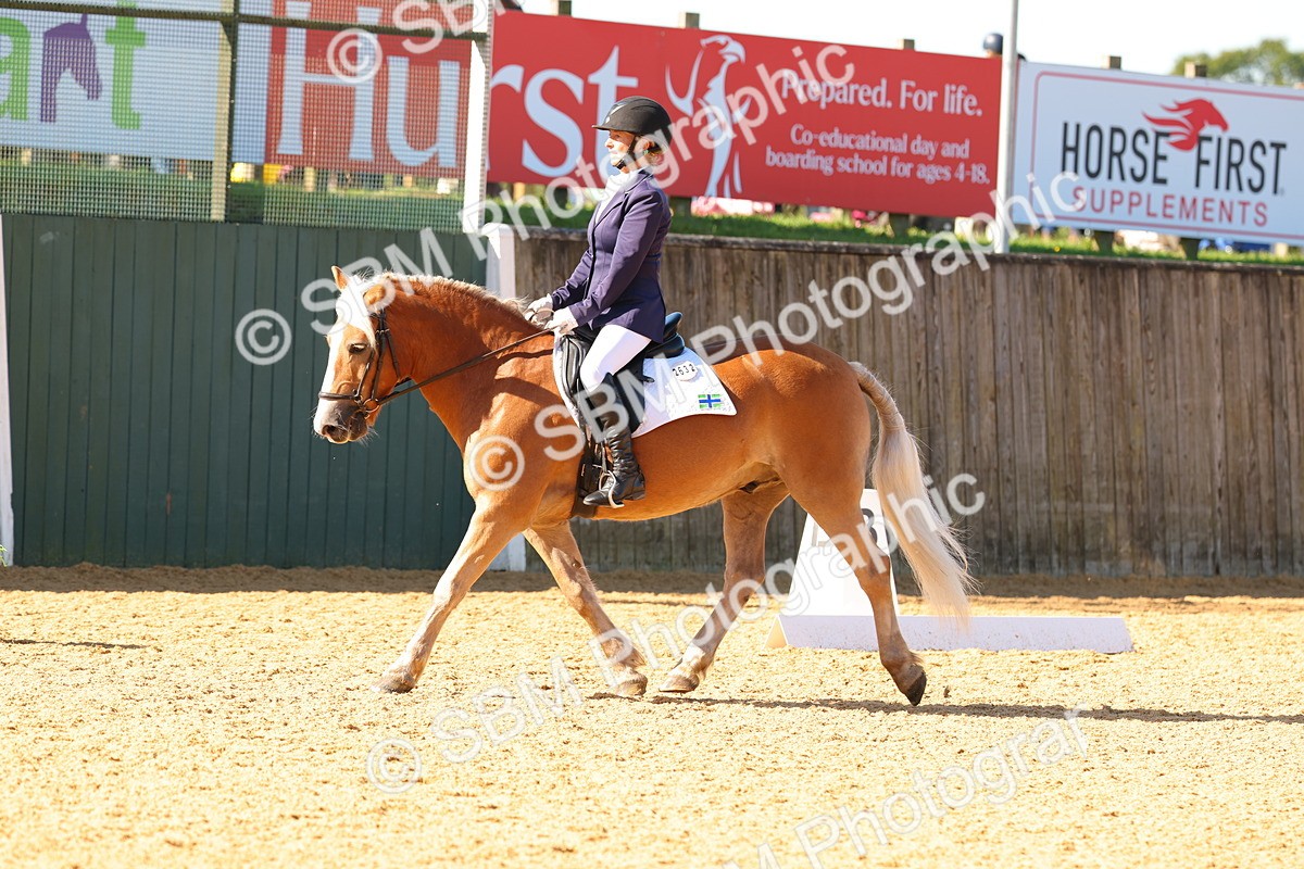SBM_39923 - D18 - Grand Tour Championship - Novice 34