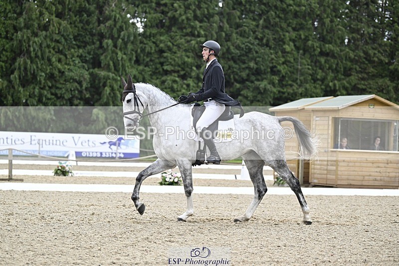 000101-215611-04499 - 404-DEERPAIRC_REVELRY-Max_Warburton