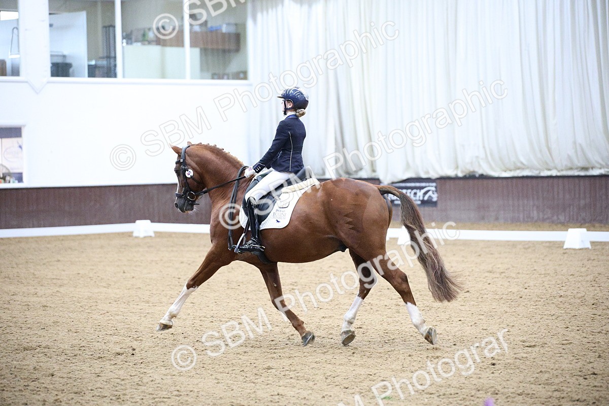 SBM_005747_Class 15 - FEI Youth Class - 1000-1220 - Cart - Violet