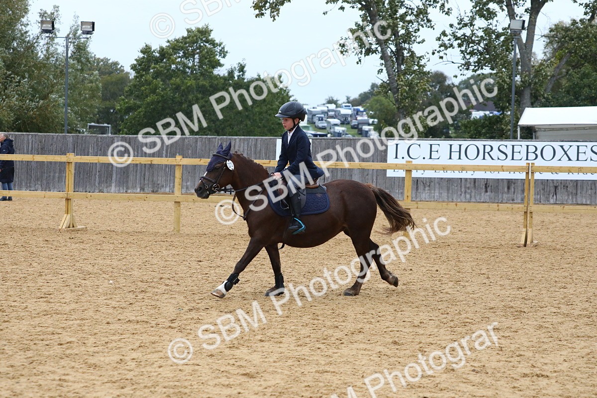 SBM_72001 - J3b - Mini Tour Junior Pony 40cm Championship