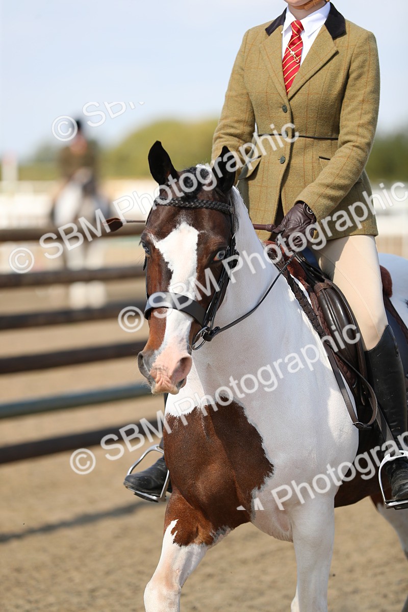 SBM_03247 - Class 44 Riding Club Horse/ Pony