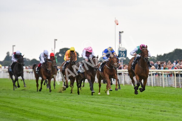 yr18082022r5-26 - Race 5 4.10pm British EBF & Sir Henry Cecil Galtres Stakes