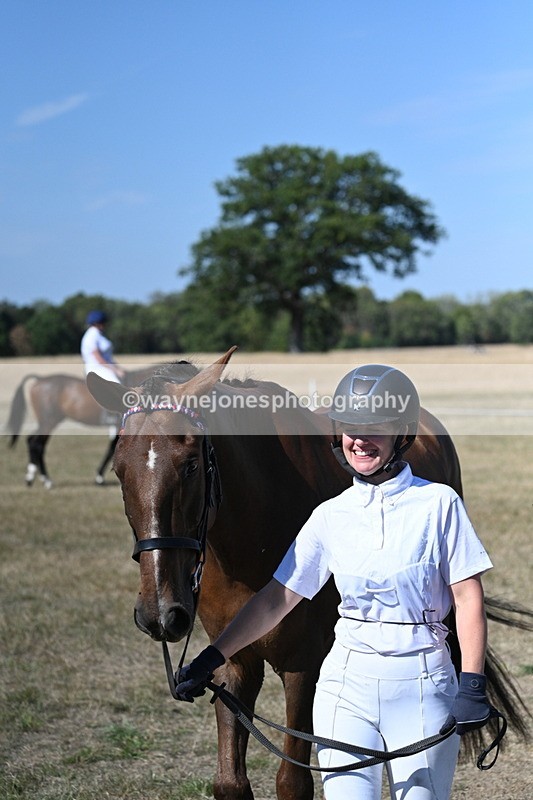 WJ7_1505 - Class 42 Most Handsome Gelding