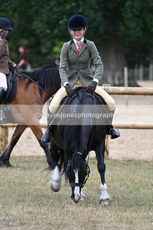 WJ7_0656 - Class 6 Ridden Mountain and Moorland