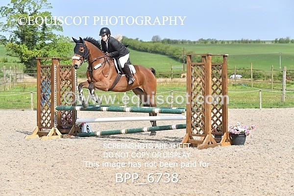 BPP_6738 - CLASS 2 FRI Club/ Unaffiliated 80cms Open