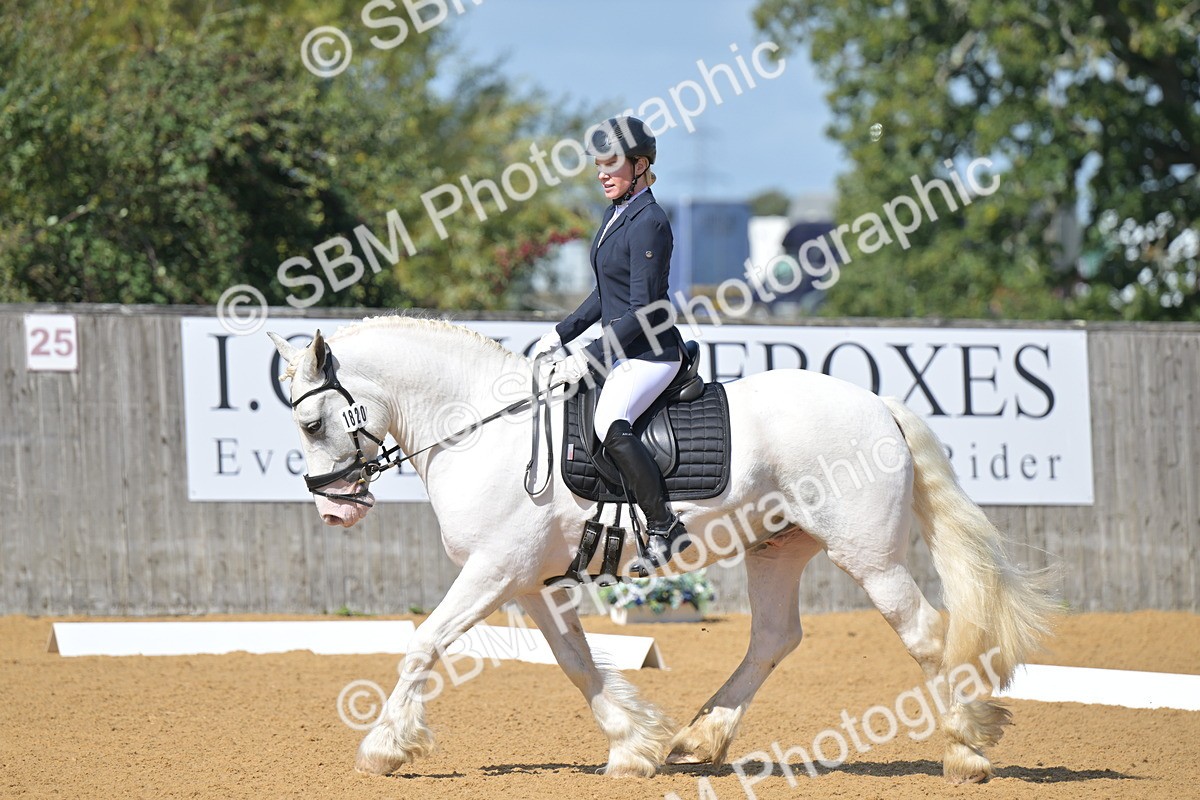 SBM_07978 - D8 - Small Tour Championship Prelim 1