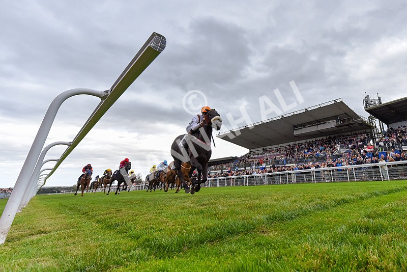 250824-Race 1-Emeralds Pride-4848 - Race 1