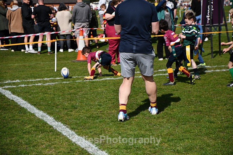 - Selby Rugby Festival 2025