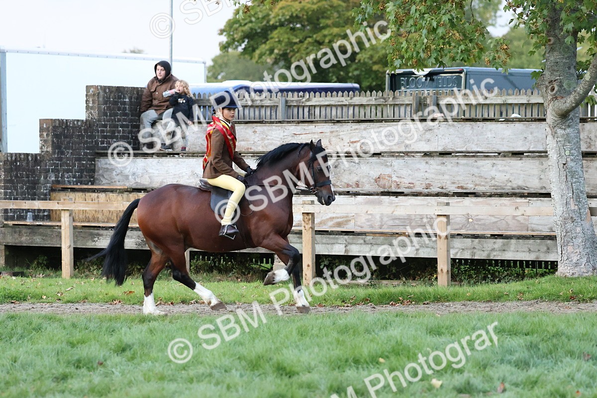 SBM_53421 - Super Supreme Championship (Sat)