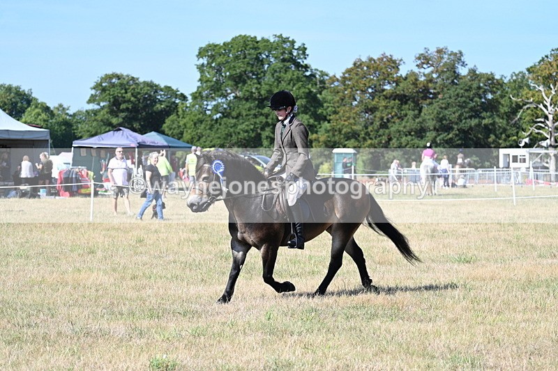 WJ7_3295 - Class 8 Ridden Tack & Turnout