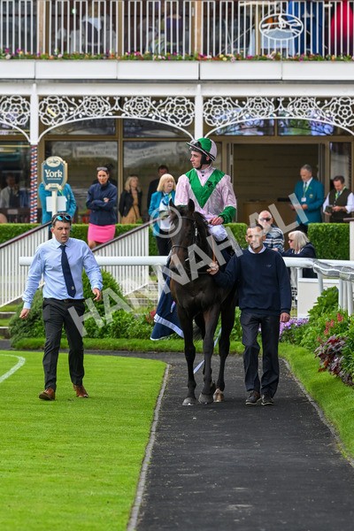 250524-Race 3-Starlust-3279 - Race 3 2.45pm William Hill Extra Place Races Daily Handicap