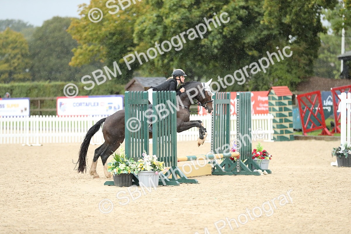 SBM_37166 - J20 - Junior Horse 50cm Championship