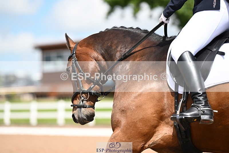 240621A-142425-04264 - Cls 8 BD Elementary 53