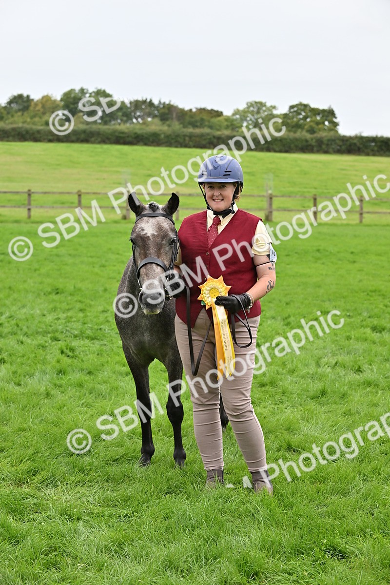 SBM_64961 - S50 - Show Pony & Show Hunter Pony In Hand