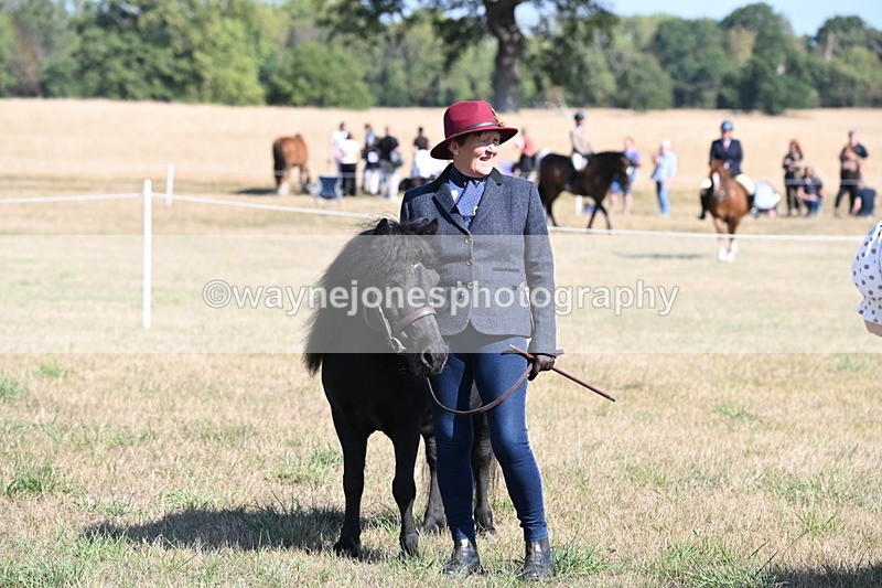 WJ6_4304 - Class 16 Condition & Turn Out