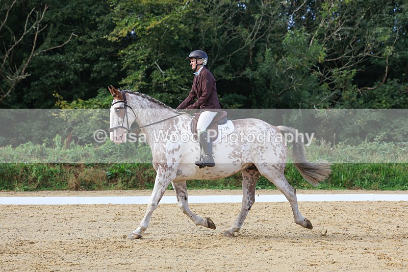 3E7A2366 - Class 1: Intro 4 2024 section A