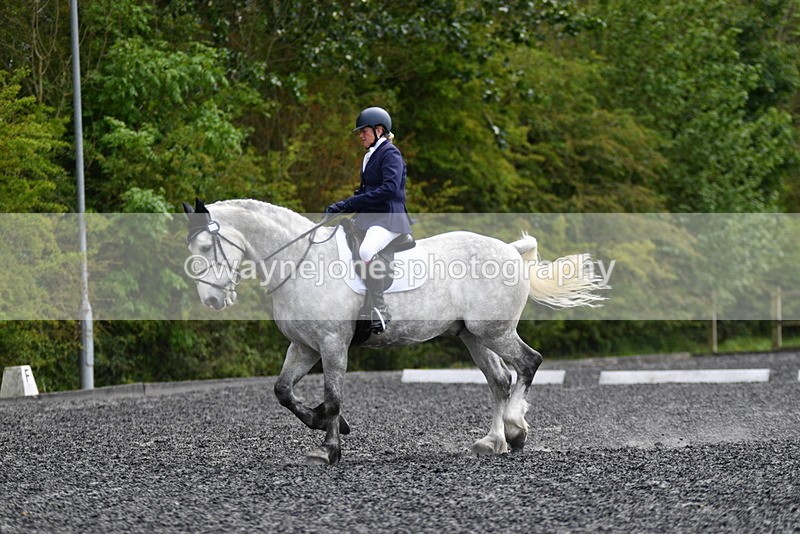 WJ5_2029 - Time 15:05 to 15:30