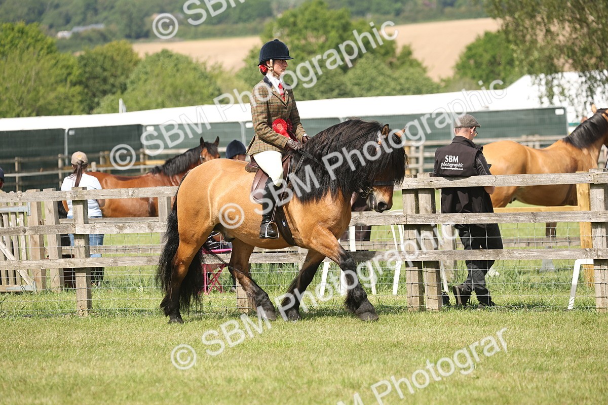 SBM_07667 - Class 26-30 - Mountain and Moorland Ridden