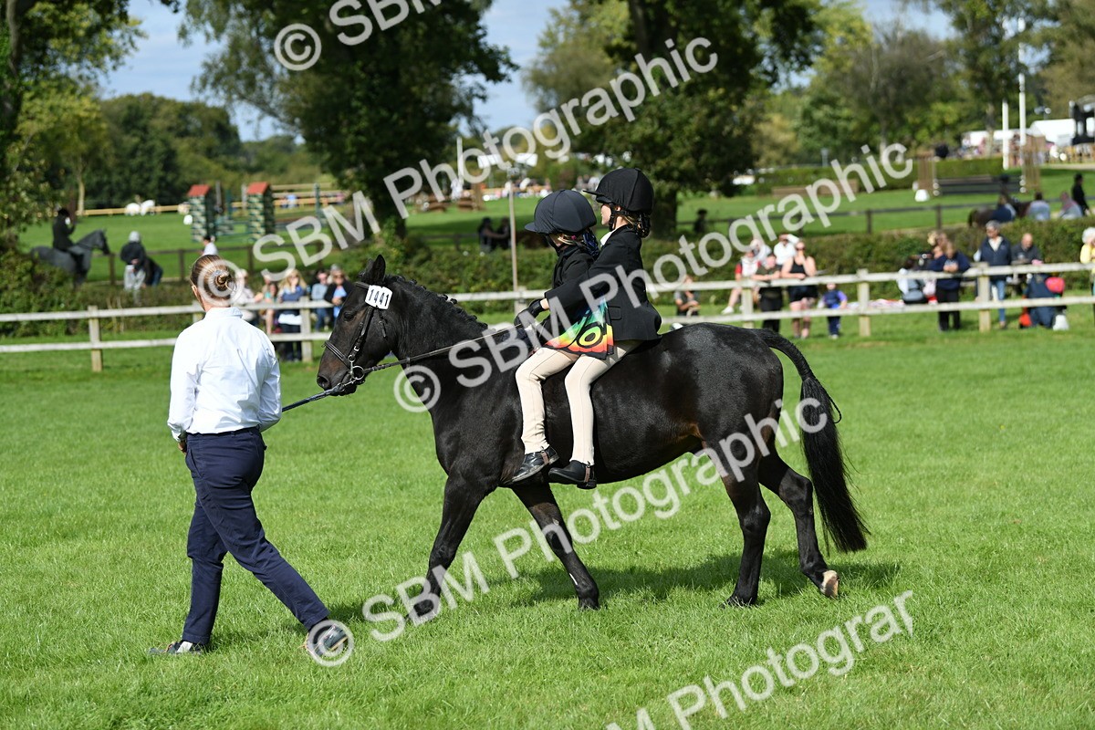 SBM_46970 - S12 - Family Horse & Pony