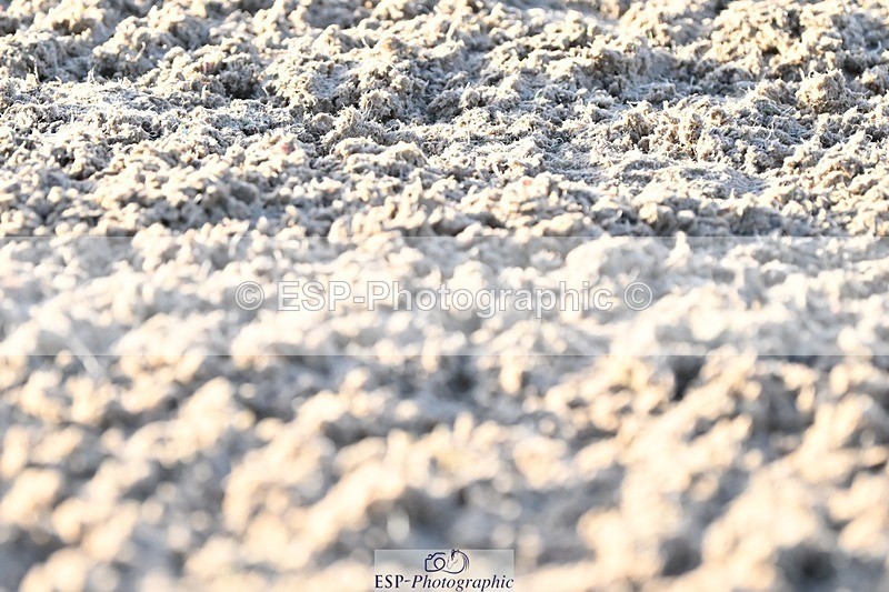 231105-083038-00398 - Cls 3 Prelim 12 Start to 9.50 break