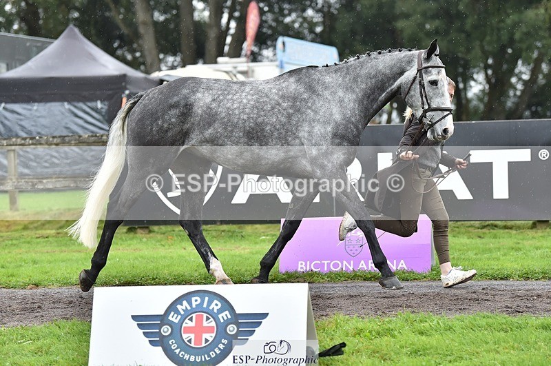 231018-124902-00546 - 068-DASSETT.PREMIER-Kate.Rocher-Smith-TrotUp