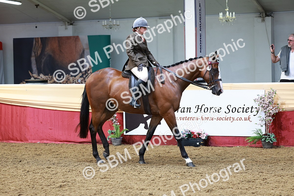 SBM_14876 - Class 108 - Ridden Retired Racehorse