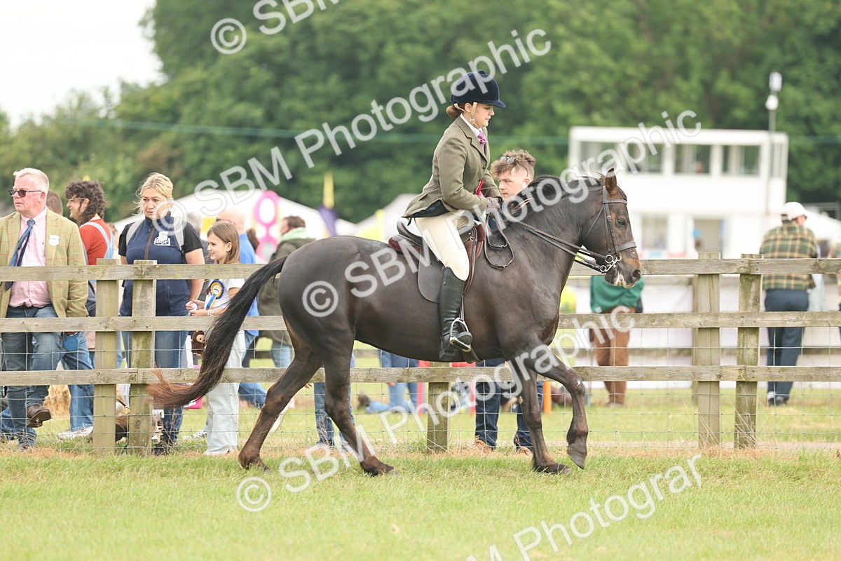 SBM_09120 - Class 78-80 - Ridden M&M Non Welsh Ponies