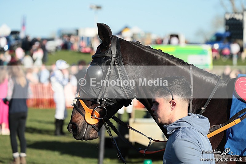 PtP 210326 1155 - VWH Cirencester Races 21/03/26