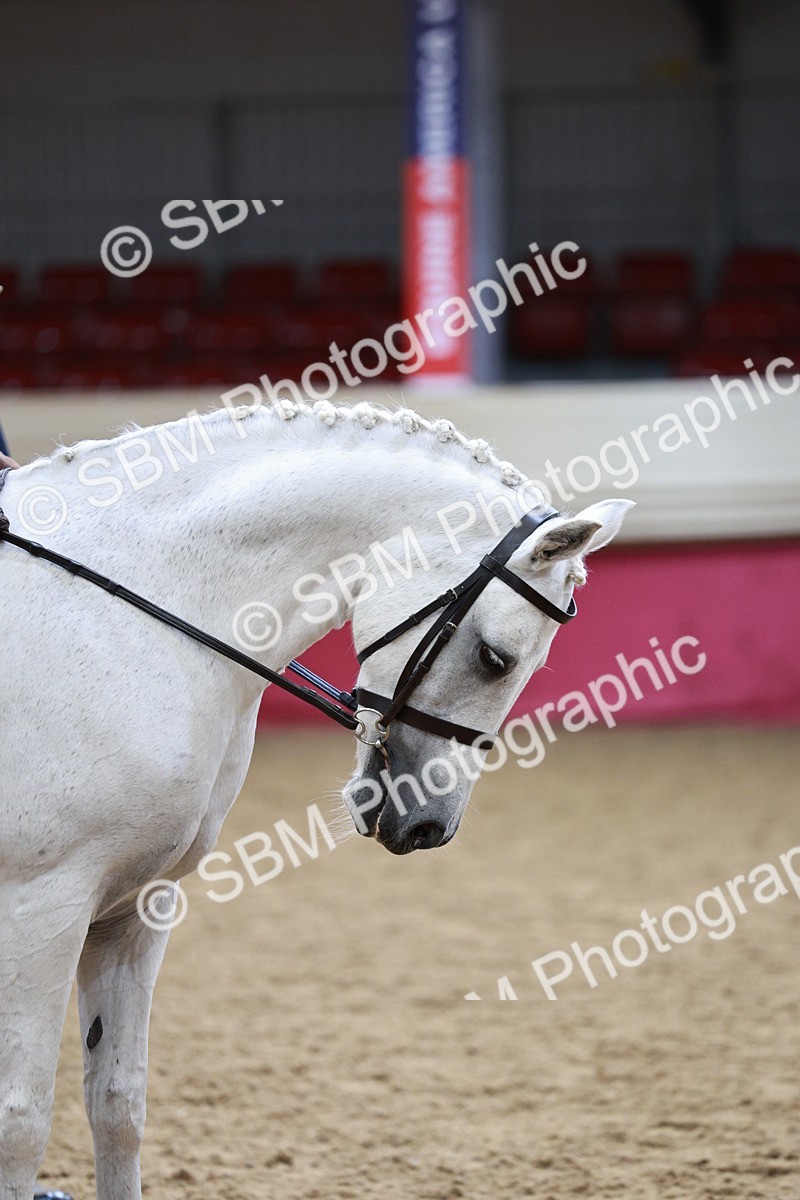 SBM_03021_Class 5a - Area - Ridden Veteran - Vicky Gutteridge