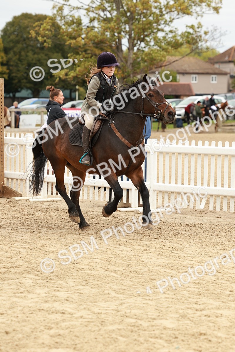 SBM_66887 - J13 - Junior Pony 60cm Championship