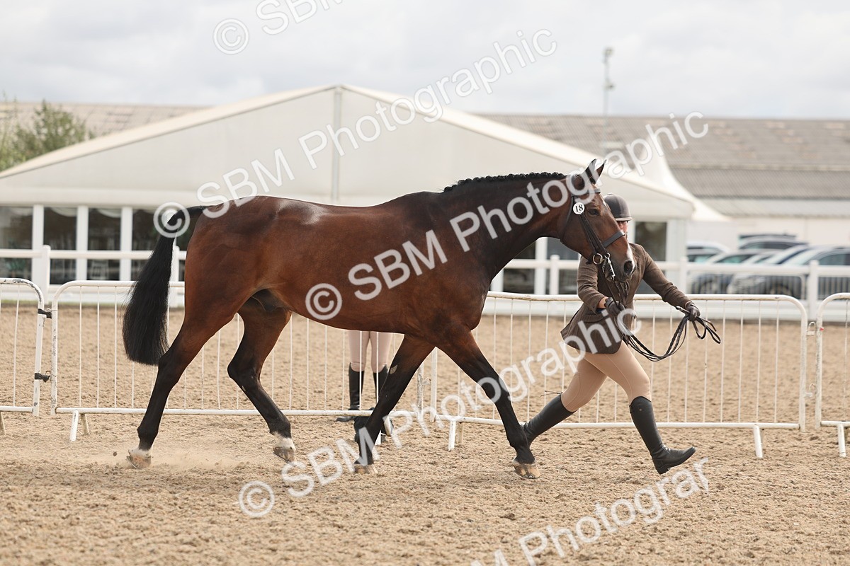 SBM_04975 - Class 20 - IH Veteran