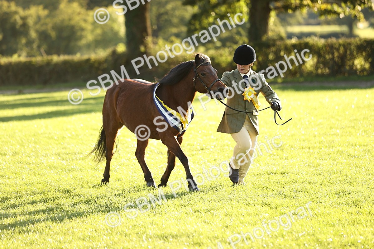 SBM_30152 - Novice & Newcomers Supreme Championship