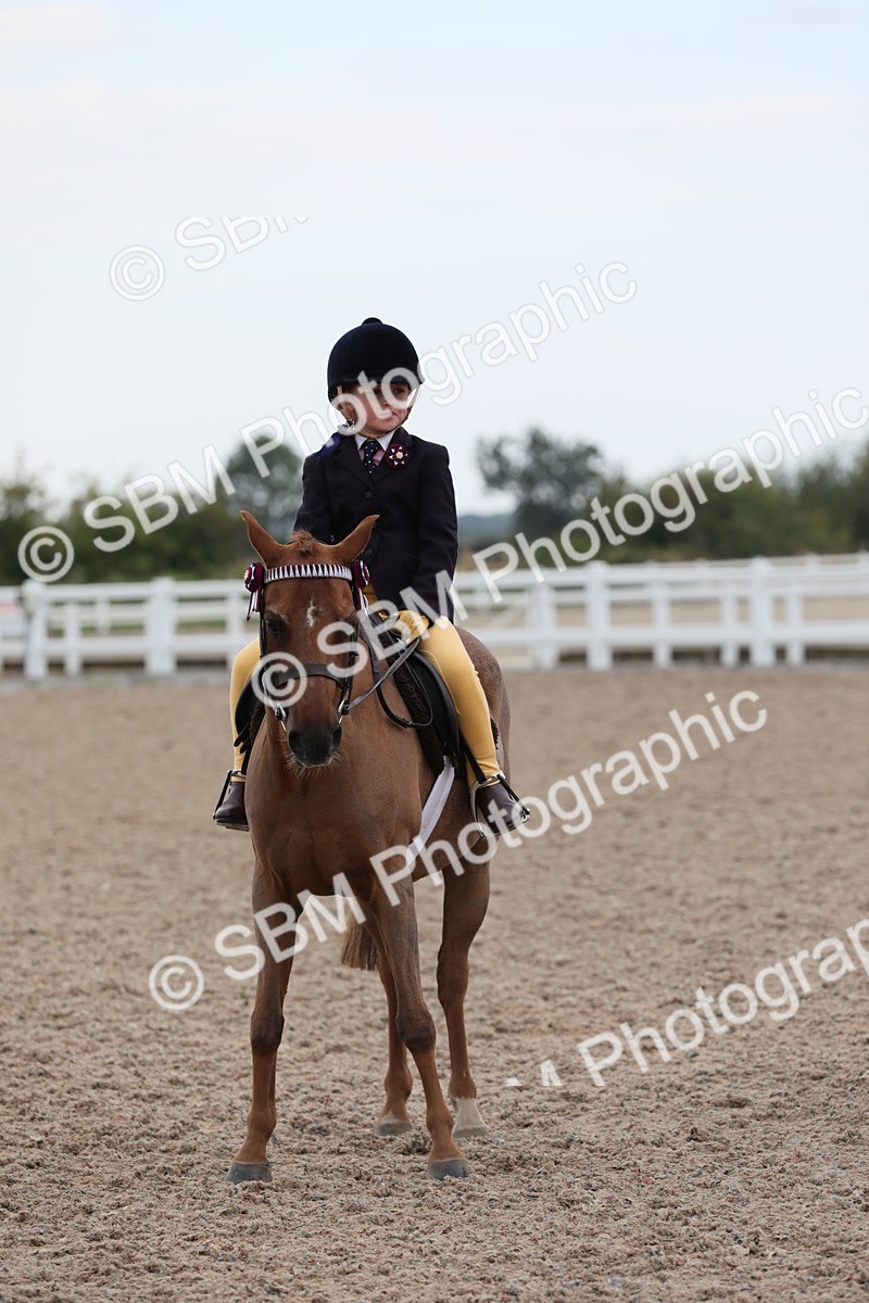 SBM_18188 - Class 316 Best Pony/Rider Combination