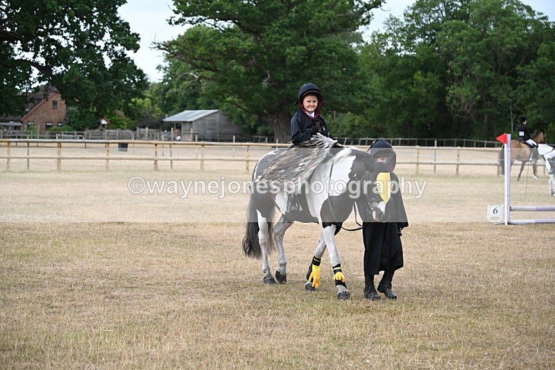 WJ6_8748 - Class 11 Fancy Dress