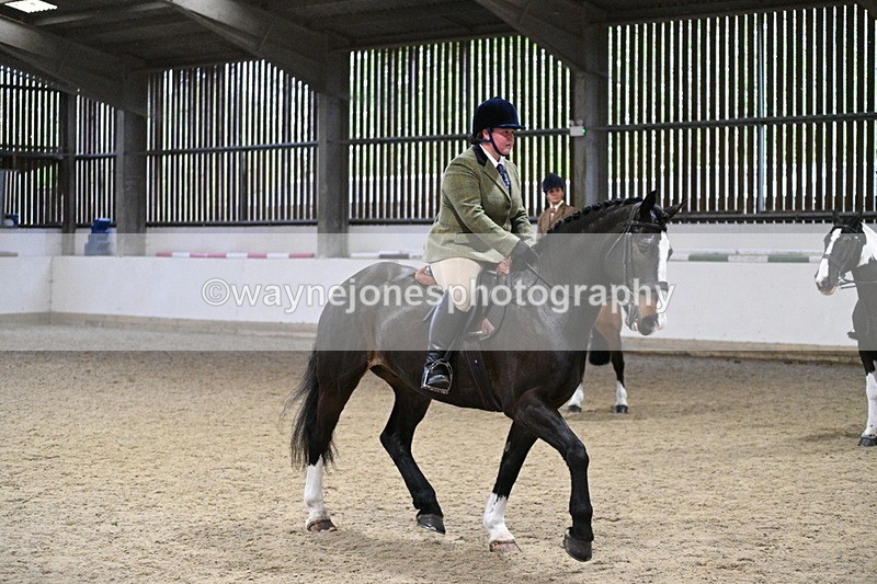 WJ7_3950 - Class 17 Ridden Cob