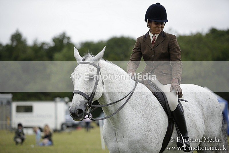 BVR160717-1026 - Ring 1 BVRC Show 16/07/17