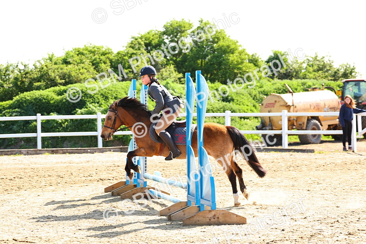 SBM_006654 - Class 2 - 50cm