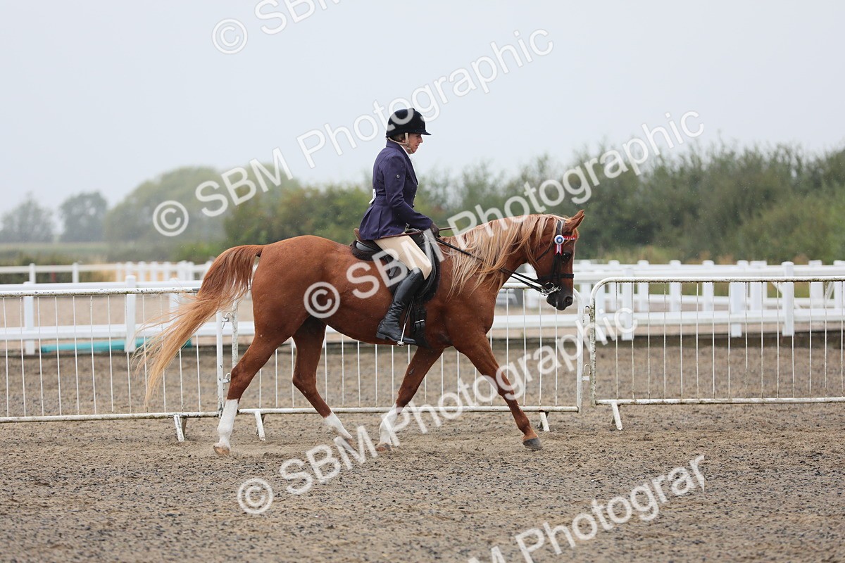 SBM_20272 - Class 803 - Ridden Combination 65+