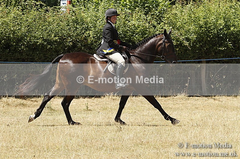 _BS_0883 - BVRC Show 2018 Ring 1