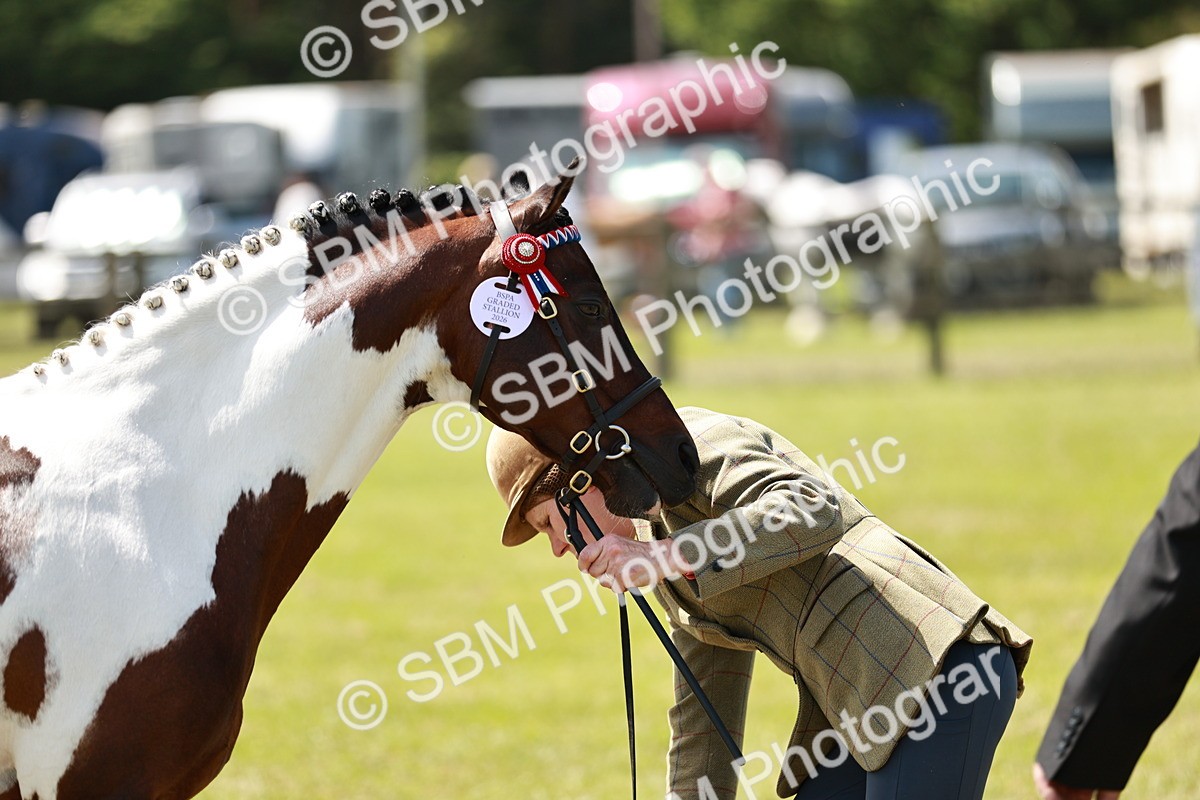 SBM_05451 - Class 39-40 - BSPA Coloured In Hand