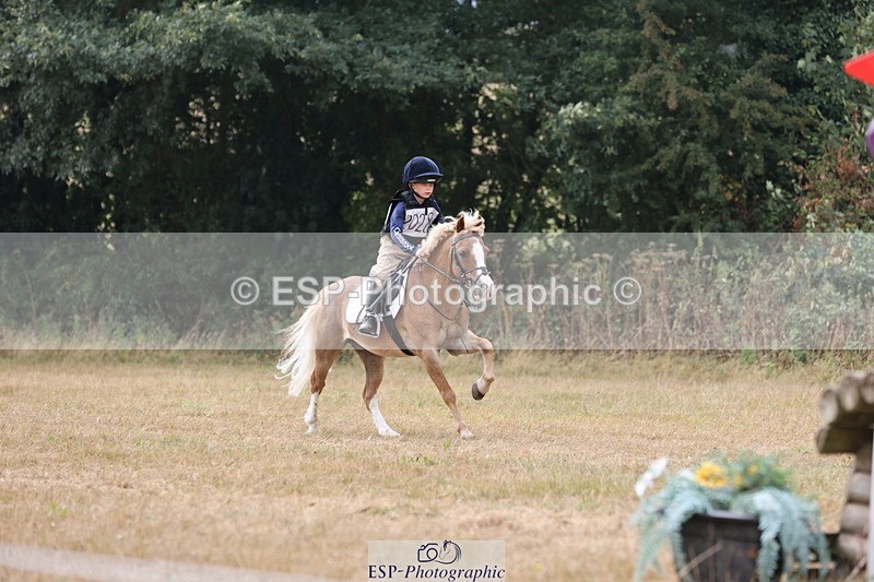 250824A-122731-36669 - 2028-Harry.Honeyball-Sardis.Cassius