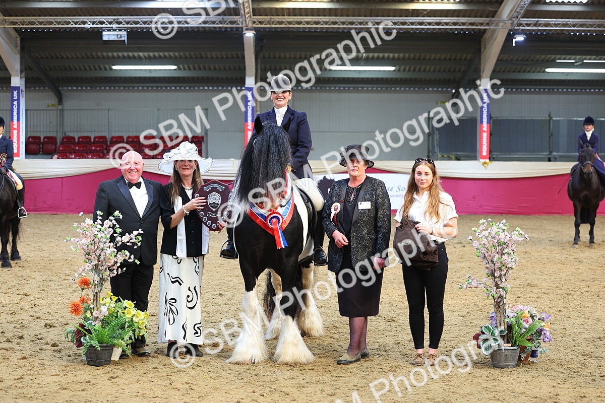 SBM_24951 - Supreme Final - Ridden Champion